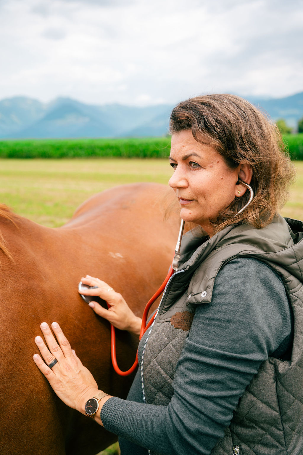 Dr. med. vet. Astrid Reitz hört die Lunge eines Pferdes ab